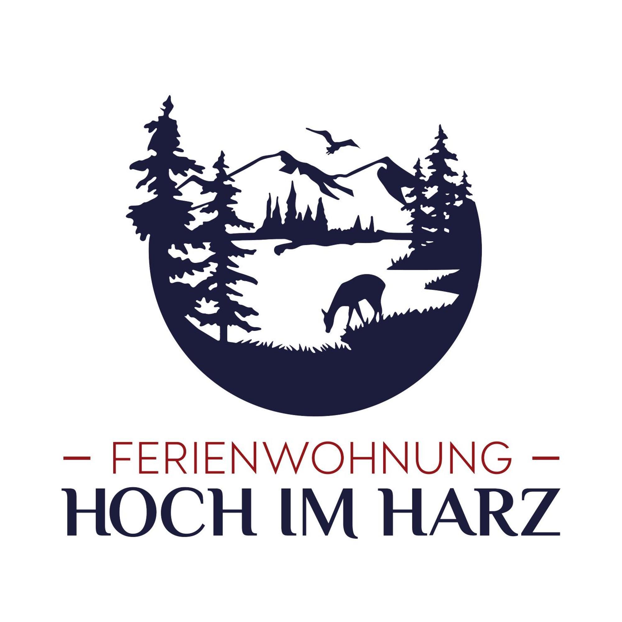 Ferienwohnung Hoch Im Harz, Altenau Altenau  Esterno foto